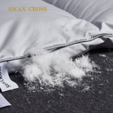 CHĂN LÔNG VŨ SWAN CROSS – ĐẲNG CẤP THƯƠNG GIA
