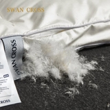 CHĂN LÔNG VŨ SWAN CROSS – ĐẲNG CẤP THƯƠNG GIA