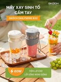 MÁY XAY SINH TỐ CẦM TAY GKÖCH B32