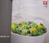 Bát trộn salad Zwilling 36200-004