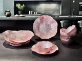 Set Bát đĩa Viola thương hiệu Đức 12 Món