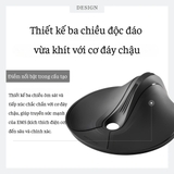 MÁY LUYỆN CƠ SÀN CHẬU SĂN CHẮC MYTREX AQUA QUTTO