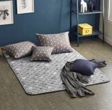 Đệm điện Made in Korea