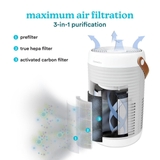 Máy lọc không khí thông minh Homedics AP-T100