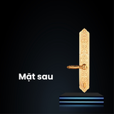 Khóa cửa đại sảnh Faster FS009 24K