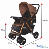 XE ĐẨY 2 CHIỀU BAOBAOHAO C8-605