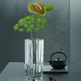 Bình Cắm Hoa Nachtman Hikari 101938 Vase