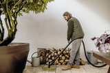 Máy hút bụi khô và ướt KARCHER WD 3 S Premium