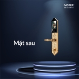 Khóa cửa đại sảnh Faster FS009 24K BRASS