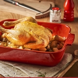 Khay Nướng Chữ Nhật Peugeot Appolia 61098 25cm, Nâu Đất