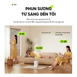 Máy phun sương tạo ẩm 5L Bear SB-TA50M