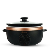 Nồi nấu chậm Sowun SW 6013