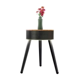 QUẠT SƯỞI GỐM KIÊM BÀN DECOR UNOLD HENRY 86545