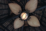 QUẠT TRẦN MR.VŨ PHUKET LIGHT