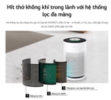 Máy Lọc Không Khí Lg Puricare 360 Hit AS60GHWG0