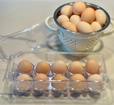 Hộp đựng trứng tủ lạnh Ernesto