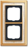 2 gang cover frame