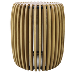 FV22-CT1S (OAK)