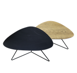 FV22-CT3L