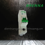 Át 1 cực 50A - 63A Brenna