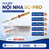 File máy nội nha SC-Pro ( file dẻo nội nha Soco) - MUA 5 TẶNG 1