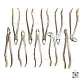 Kìm nhổ răng người lớn cán vàng Prime