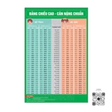 Tranh Bảng chiều cao cân nặng chuẩn