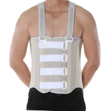 Back support ORBE