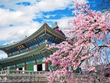 Có nên du học Hàn Quốc các trường ở khu vực Seoul
