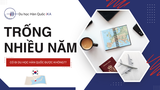 Trống Nhiều Năm Có Đi Du Học Hàn Quốc Được Không? Giải Đáp Chi Tiết Từ IKA