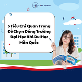 5 Tiêu Chí Quan Trọng Để Chọn Đúng Trường Đại Học Khi Du Học Hàn Quốc