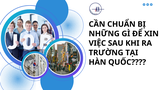 Cần chuẩn bị những gì để xin việc sau khi ra trường tại Hàn Quốc?