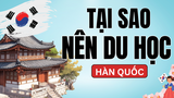 TẠI SAO NÊN ĐU DU HỌC HÀN QUỐC GIAI ĐOẠN 2025–2027