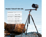 Chân máy ảnh K&F Concept T254A7+ BH-28L - KF09.119