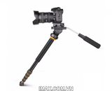 Chân máy ảnh Monopod Beike Q-188