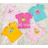 Set 5 áo Carter cộc