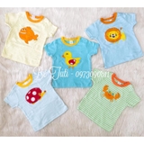 Set 5 áo Carter cộc