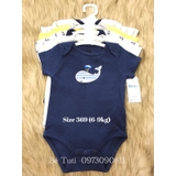 Set 5 Body Việt Nam xuất Mỹ