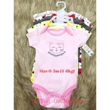 Set 5 Body Việt Nam xuất Mỹ
