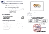 Chứng Thư Giám Định Mặt Tỳ Hưu Jadeit Tự Nhiên