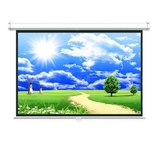 Màn chiếu treo P96WS 135 inch Ecoscreen