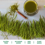 Bột cỏ lúa mì hữu cơ - Organic Wheat Grass - Amazing Grass