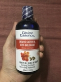 Dầu thầu dầu hữu cơ 100ml- Divine Essence