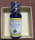 Tinh dầu thông đại dương 15ml- Divine Essence