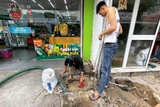 hút hầm cầu giá rẻ