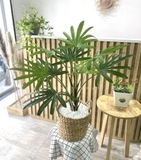 Cọ rừng trang trí Landecor ( 80cm) - LC3193