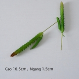 Cành sen  đá decor Trang trí nhà cửa, chậu cây     -   Sen đá 15