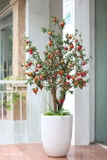 Chậu cây lựu trang trí nội thất hiện đại LanDecor (160cm) - CC454