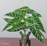 Cành Lá Giả Decor Tiểu Cảnh, Cành Lá Bán Hạ Trang Trí Độc Đáo (25cm) - HC1116