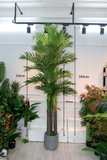 Cây dừa đơn trang trí LanDecor - LC3004 ghép